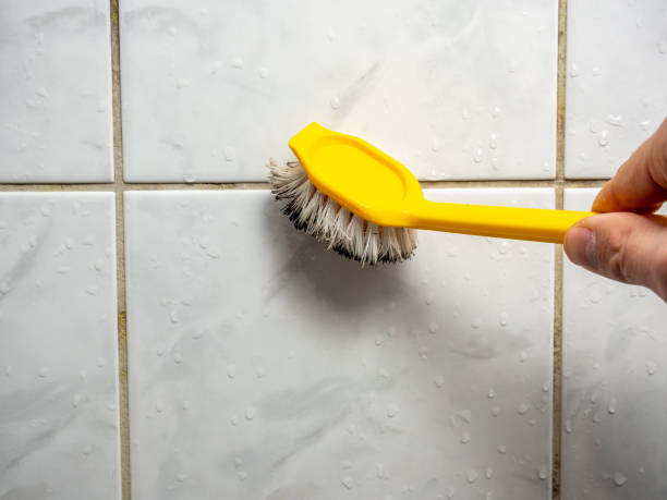Mikes, TX Mold Removal Company