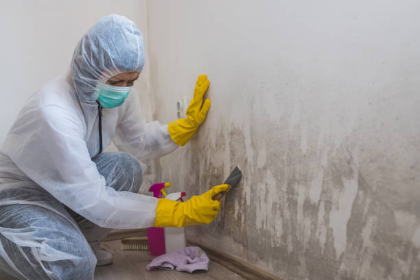 Best Crawl Space Mold Removal  in Mikes, TX