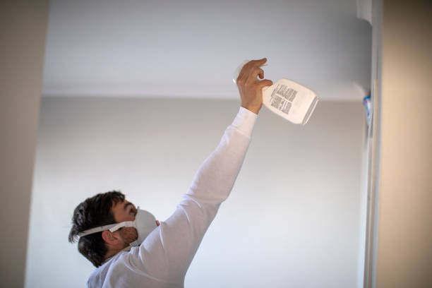 Best Emergency Mold Removal  in Mikes, TX