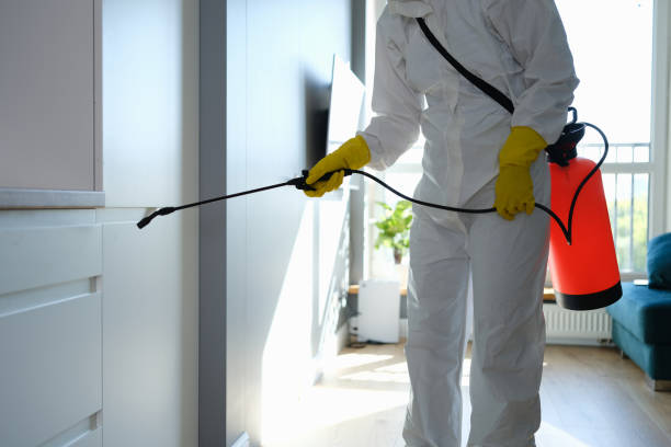Best Commercial Mold Removal  in Mikes, TX