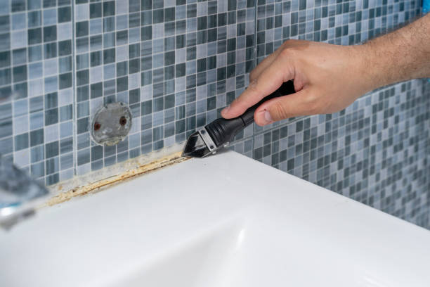 Best Mold Removal Near Me  in Mikes, TX