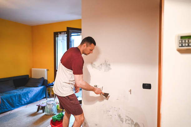 Best Certified Mold Removal  in Mikes, TX